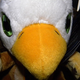 Illustration for article titled World Of Warcraft Plushies: On The Wings Of Cuteness